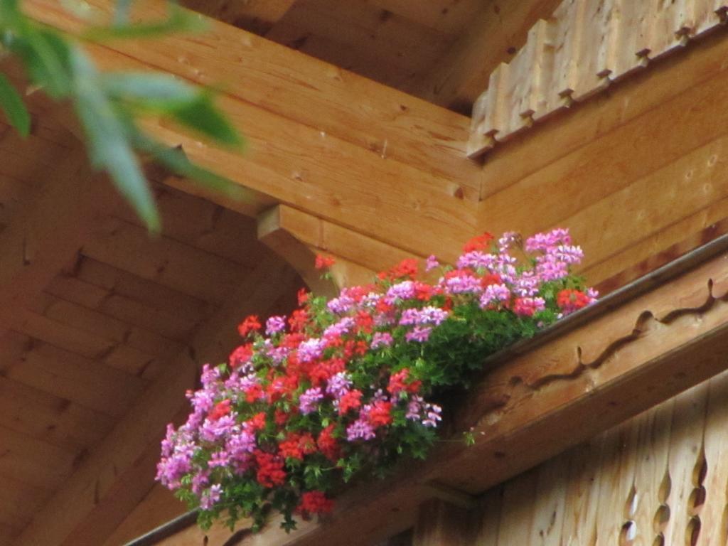 Seppenbauerhof Appartement Heiligenblut am Großglockner Exterior foto